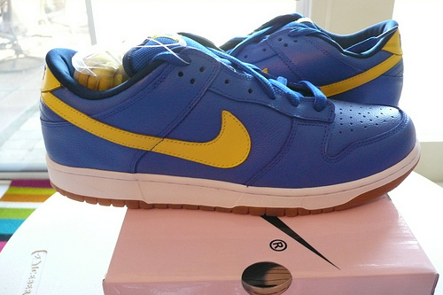 nike-dunk-boca-2