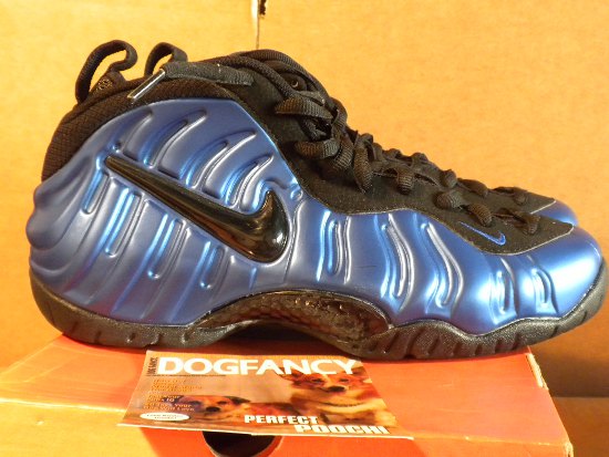 foamposite royal blue 2011