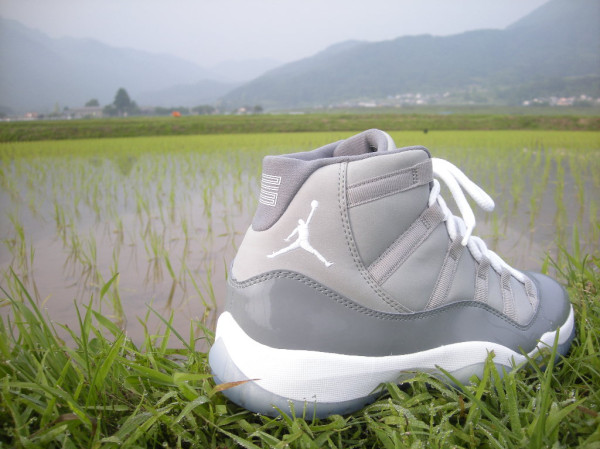 Air Jordan (XI) 11 Cool Grey