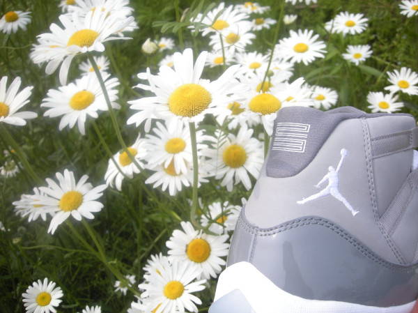 Air Jordan (XI) 11 Cool Grey