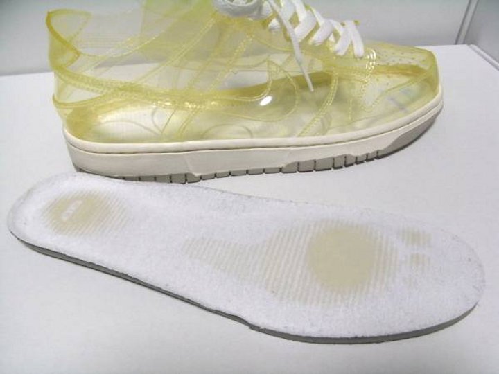 Nike Dunk Low Pro SB Clear 