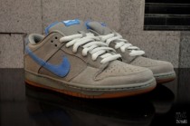 Nike Dunk Low SB Iron