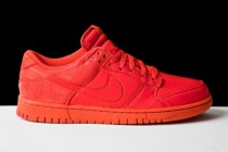 Nike Dunk Low SB Red Ripstop