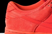 Nike Dunk Low SB Red Ripstop