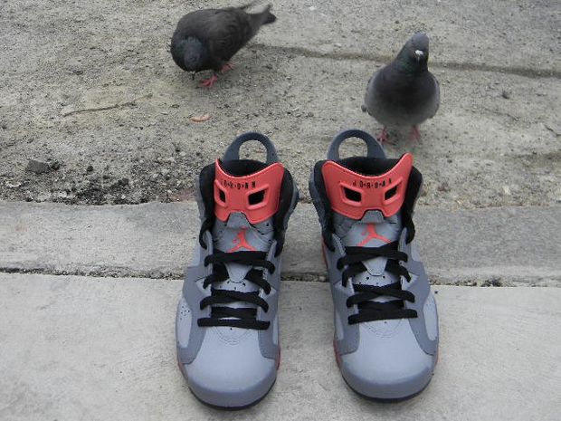 Air Jordan 6 NYC Pigeon