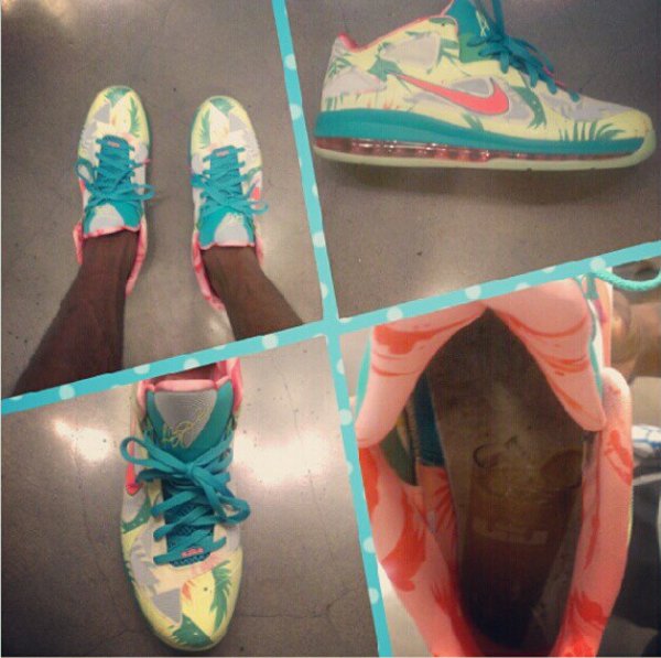 Nike Lebron 9 Low Lebronold Palmer