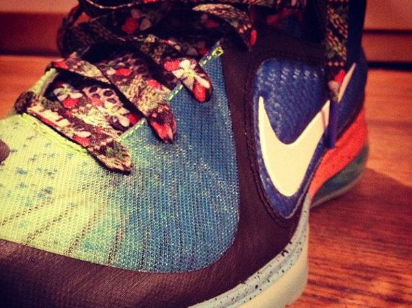 Lebron 9 What The Lebron