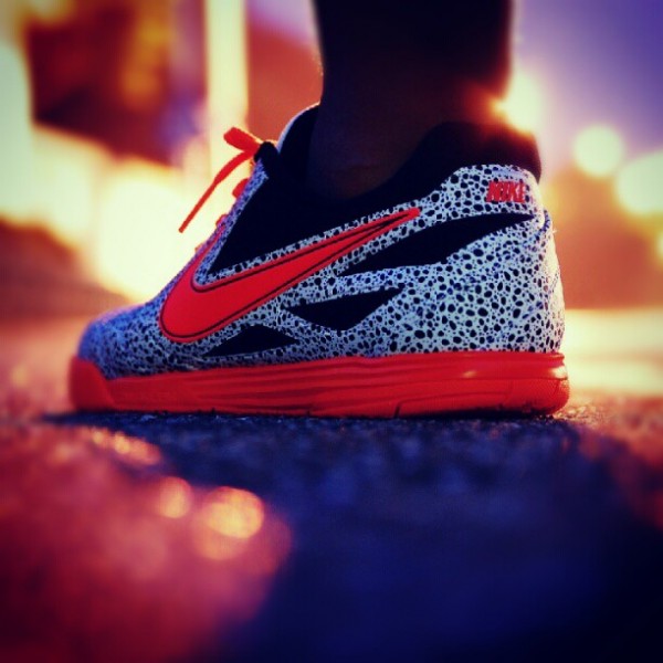 Nike Lunar Safari Gato