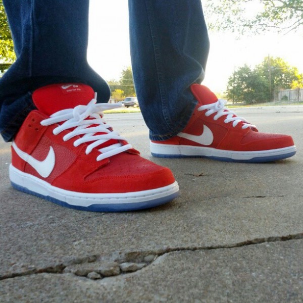 Nike Dunk Low Pro SB Challenge Red
