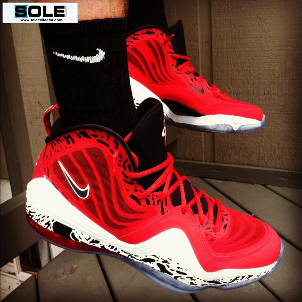 Nike Air Penny 5 Red Eagle