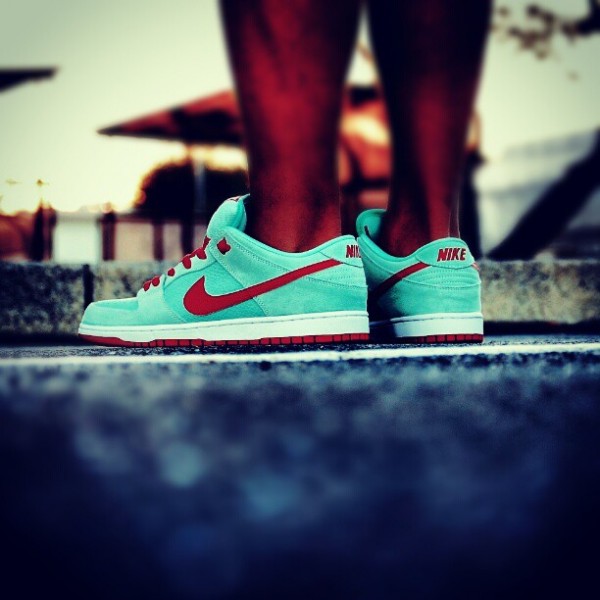 NIke Dunk Low Pro SB Mint Gym Red