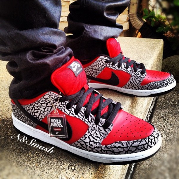 NIke Dunk Low Pro SB Supreme