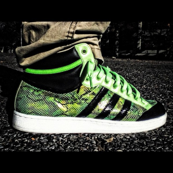 Adidas Americana Snakeskin - Pito