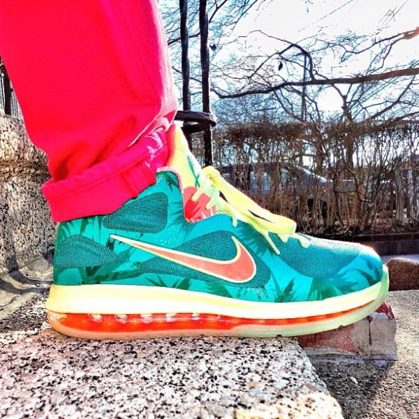 Nike Lebron 9 Low Lebronold Palmer - Justin F