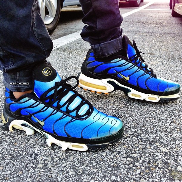 nike air max plus la requin