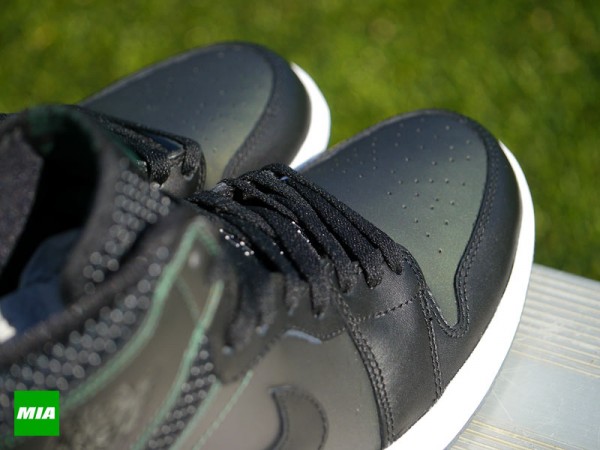 Nike SB Jordan 1 QS Black Silver (7)