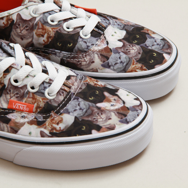 vans motif chat