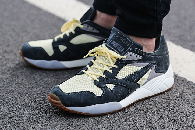 puma xs 850 x bwgh