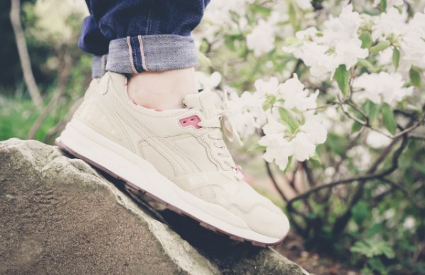 Puma XT2 Beige Tropicalia  (3)