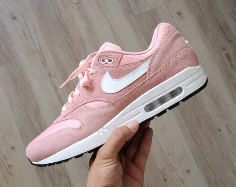 year of the pig air max
