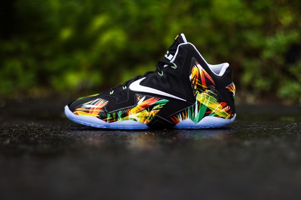 Nike Lebron 11 Everglades jolis cliches (1)