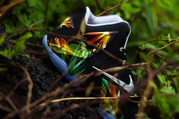 Nike Lebron 11 Everglades jolis cliches (2)