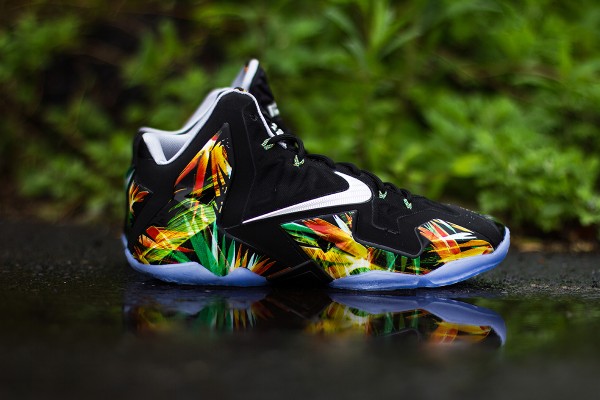 Nike Lebron 11 Everglades jolis cliches (3)