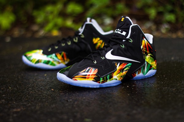 Nike Lebron 11 Everglades jolis cliches (5)