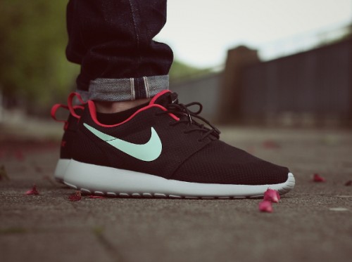 nike roshe one paris
