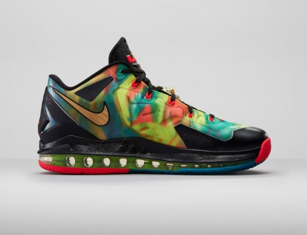 Nike Lebron 11 Low Max SE Multicolor (4)