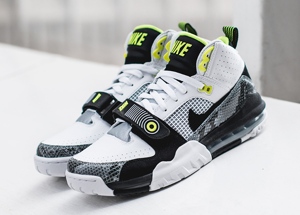 nike air max trainer