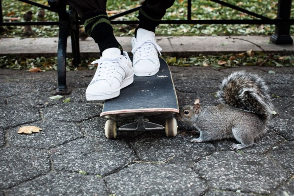 Adidas Superstar 80's x Mark Gonzales 'The Gonz' (3)