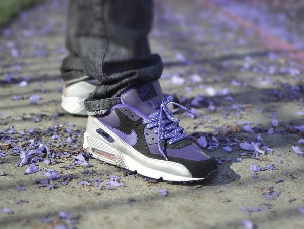 Nike Air Max 90 Purple Silver -  Aeropooch (1)