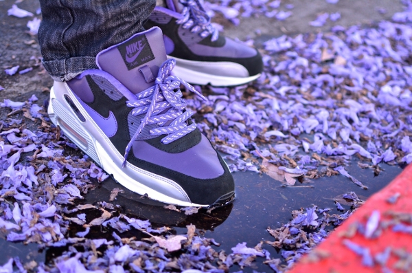 Nike Air Max 90 Purple Silver -  Aeropooch (3)