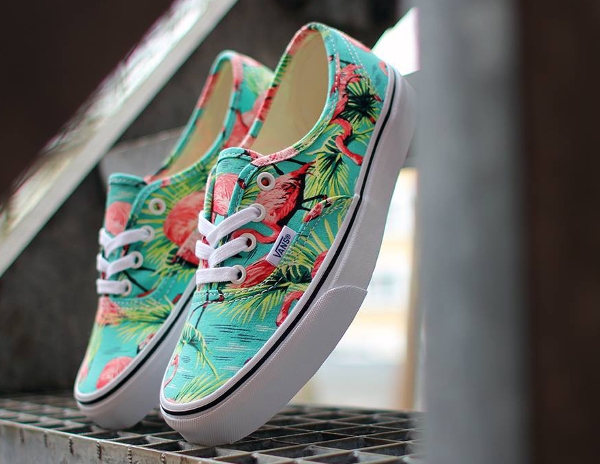 chaussure vans flamant rose