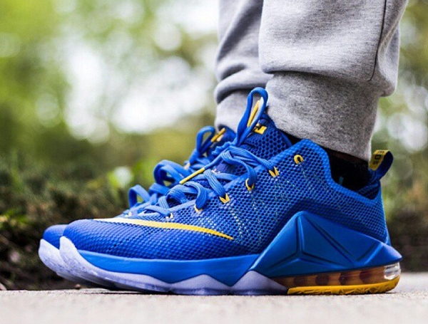 Nike Lebron 11 Low Entourage