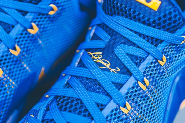 Nike Lebron 12 Low Photo Blue Gold (Entourage) (6)