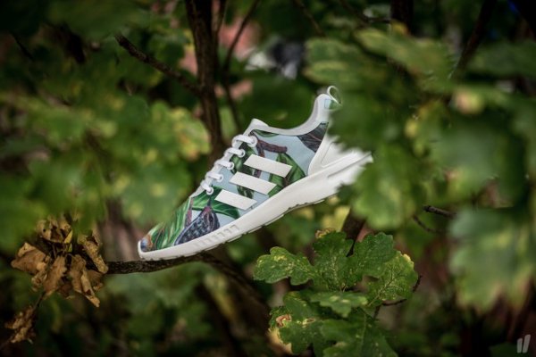 Adidas ZX Flux Smooth femme imprimé oiseau (colibri) (1)