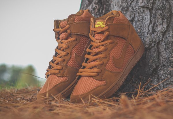 Nike Dunk High Pro SB PRM Ale Brown  (2)