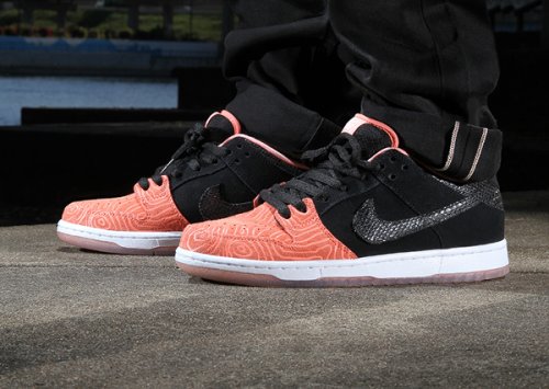 o-acheter-les-premier-x-nike-sb-fish-ladder-salmon-toe