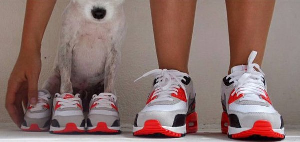 Sneaker Comedy Club décembre 2015 (8)
