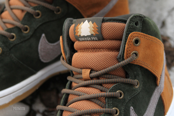 Homegrown x Dunk High Pro 'Ithaca'