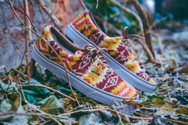 vans x pendleton era