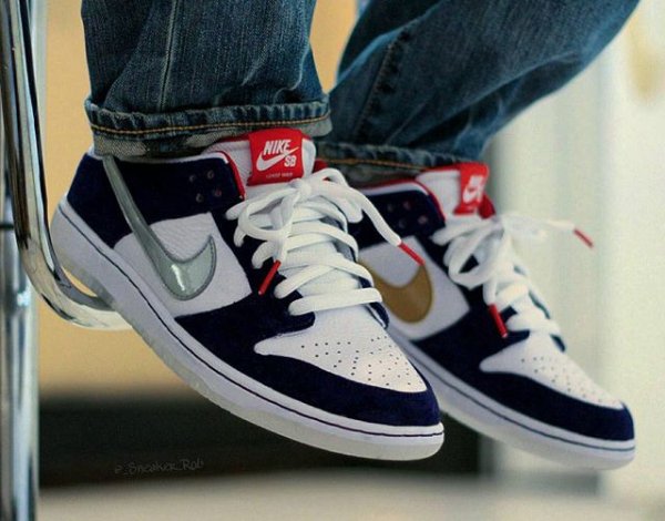 Nike Dunk Low Pro SB QS Ishod Wair pas cher (2)