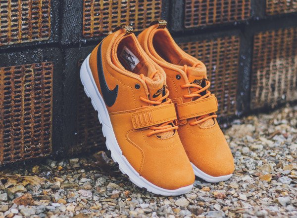 Nike SB Trainerendor L Sunset (8)