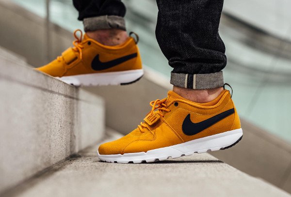 Nike SB Trainerendor Leather Sunset pas cher (3)