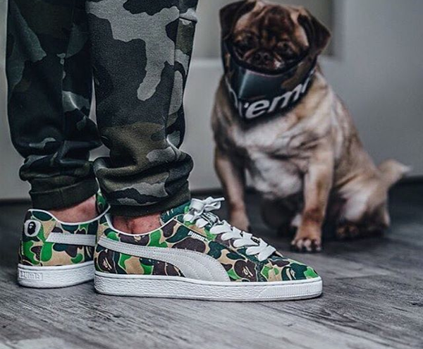 Bape x Puma States Camo - @flashbackzhh