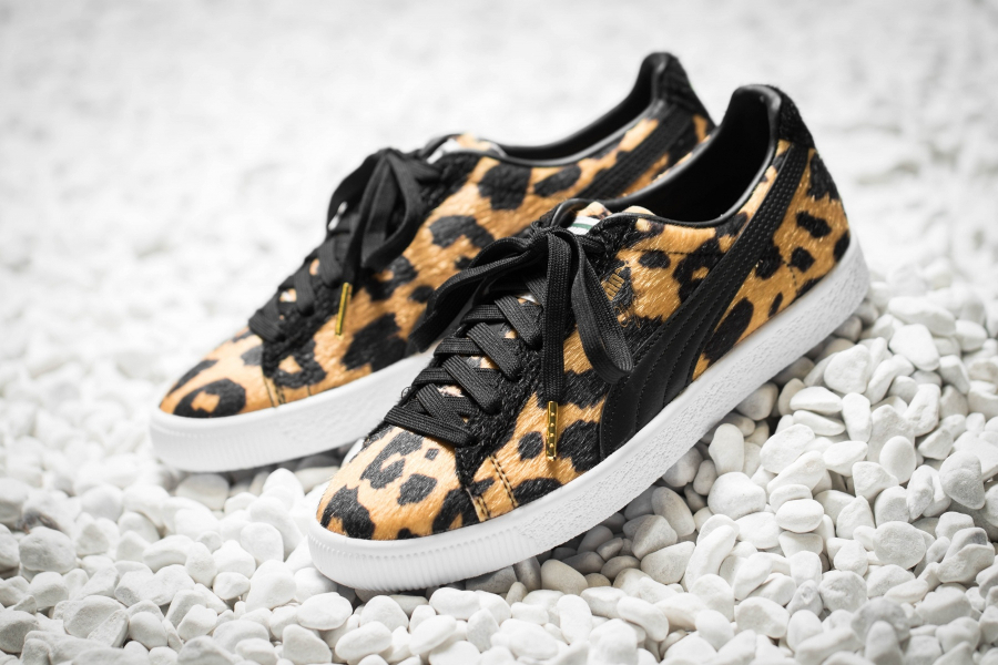 basket puma leopard