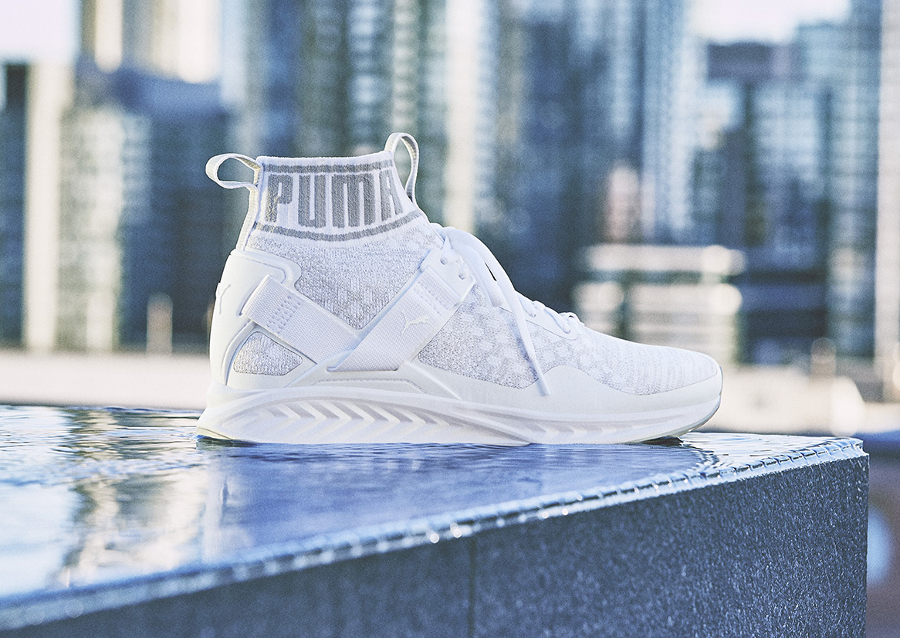 basket puma ignite evoknit