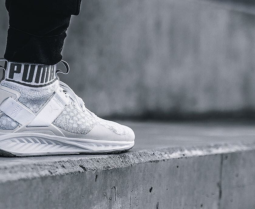 puma ignite evoknit